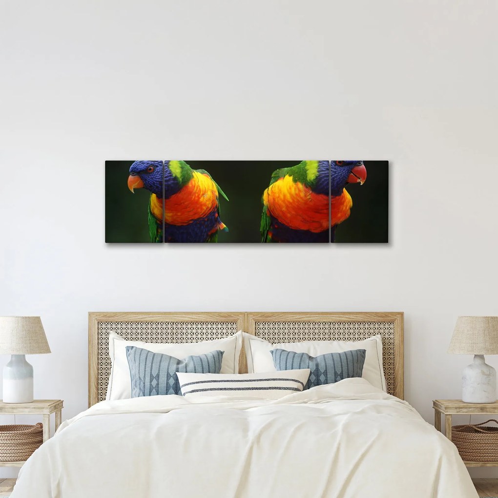 Obraz papug (170x50 cm)