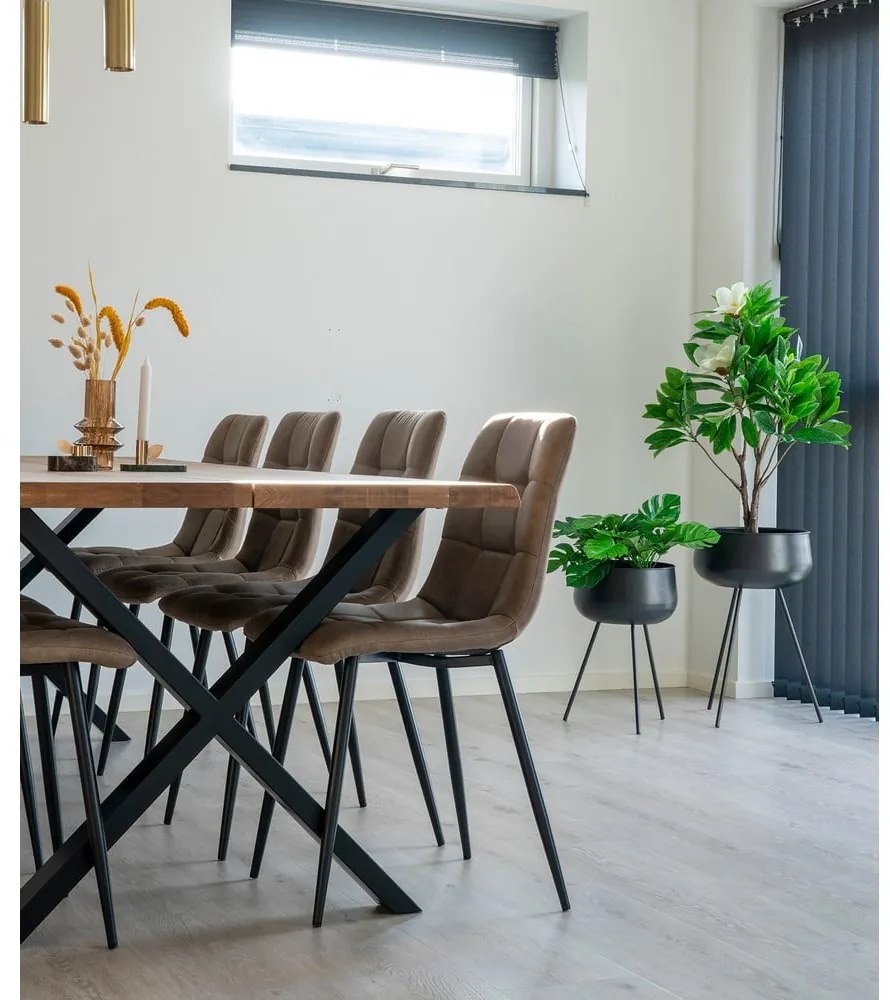 Jasnobrązowe krzesła zestaw 2 szt. Middelfart – Bonami Essentials