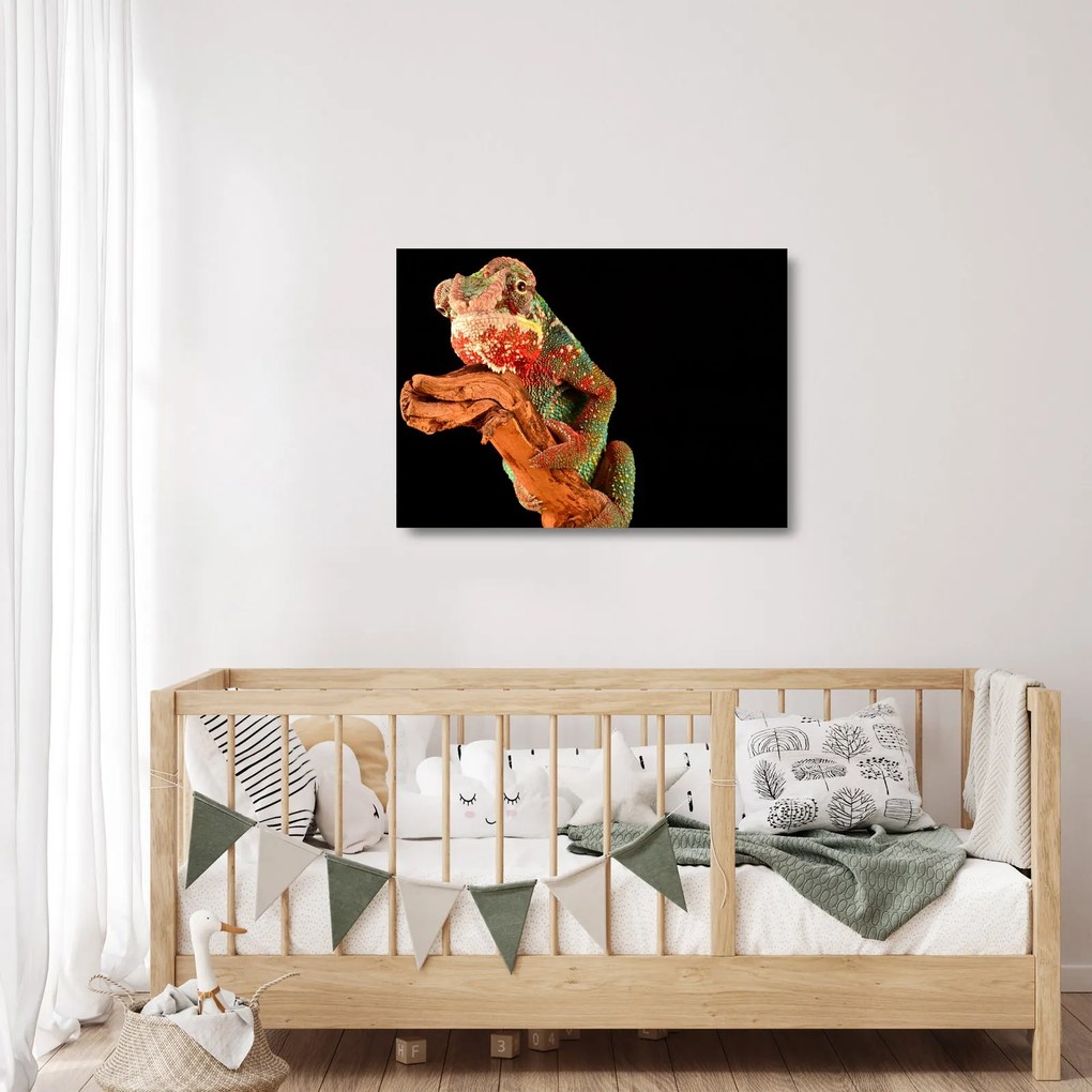 Obraz na szkle kameleona na gałęzi (70x50 cm)
