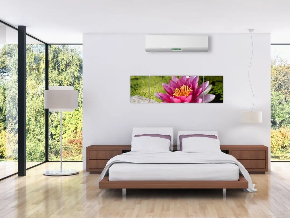 Obraz - Lilia wodna (170x50 cm)