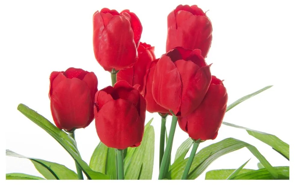 Zestaw 3 kwiatków dekoracyjnych w doniczkach Casa Selección Tulip