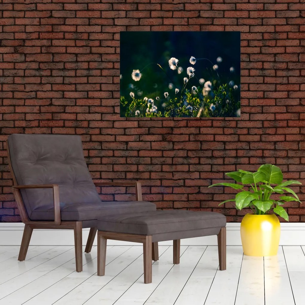 Obraz - Trawa (70x50 cm)