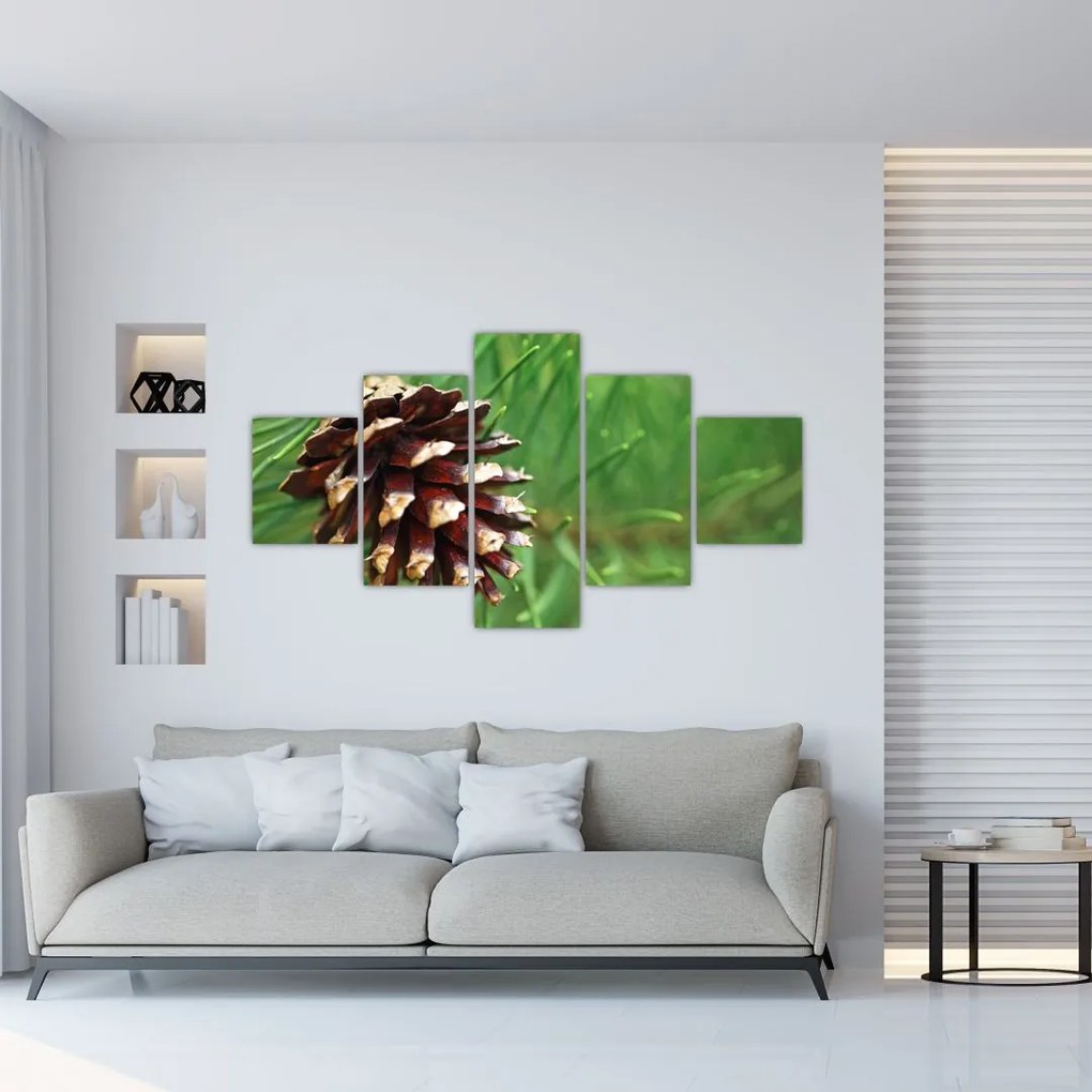 Obraz szyszki (125x70 cm)