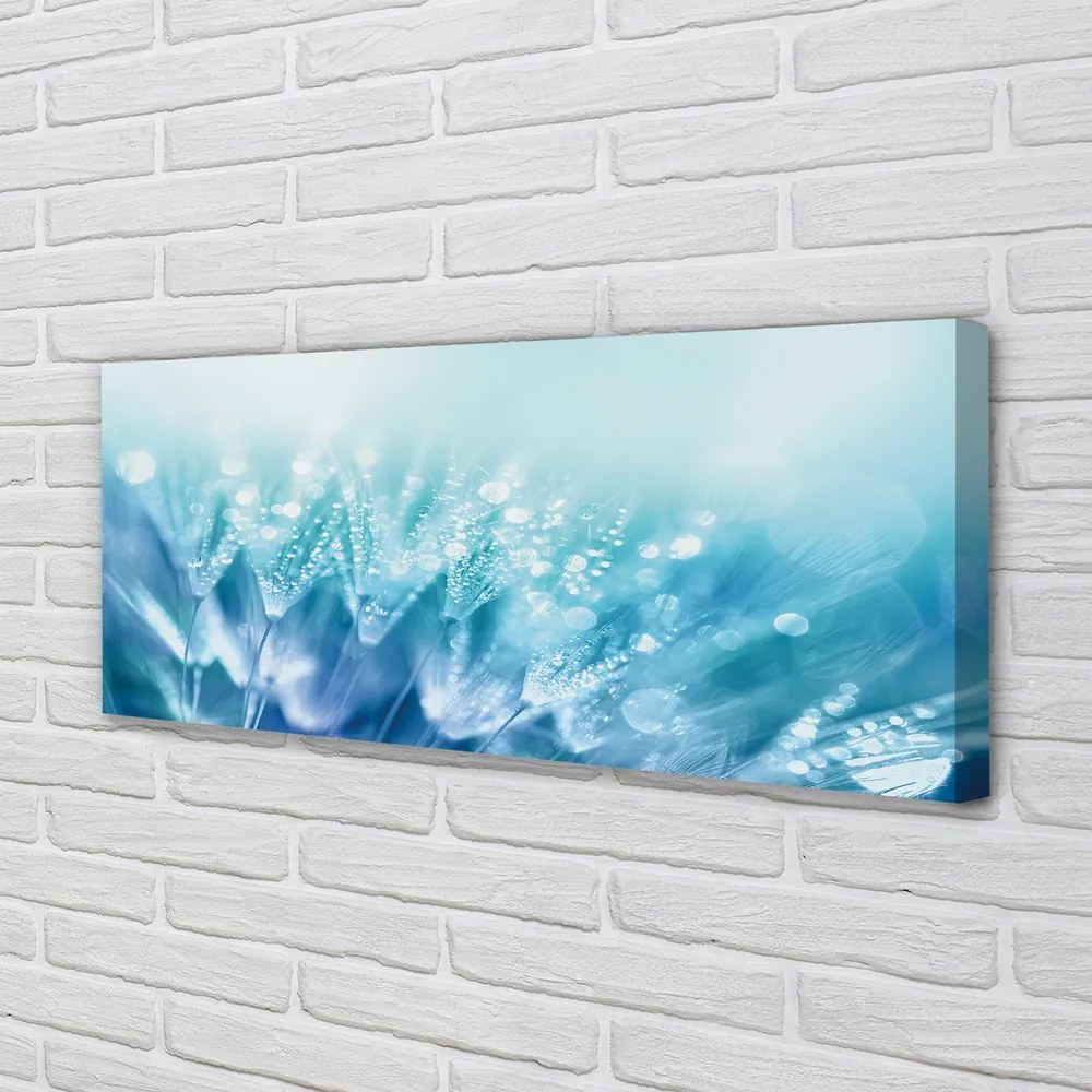 Obraz na płótnie Artystyczna Wizja Dmuchawca