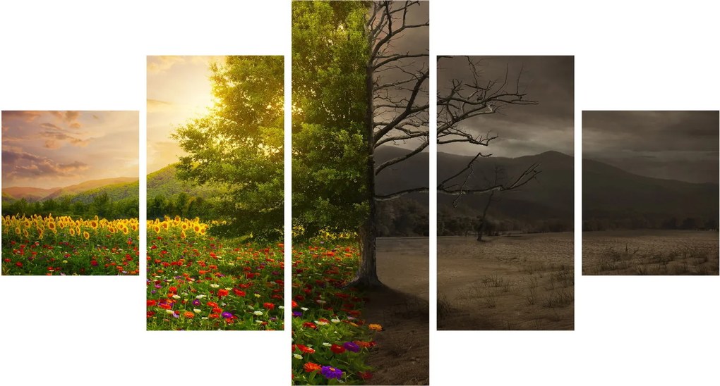 Obraz - Cykl życia (125x70 cm)
