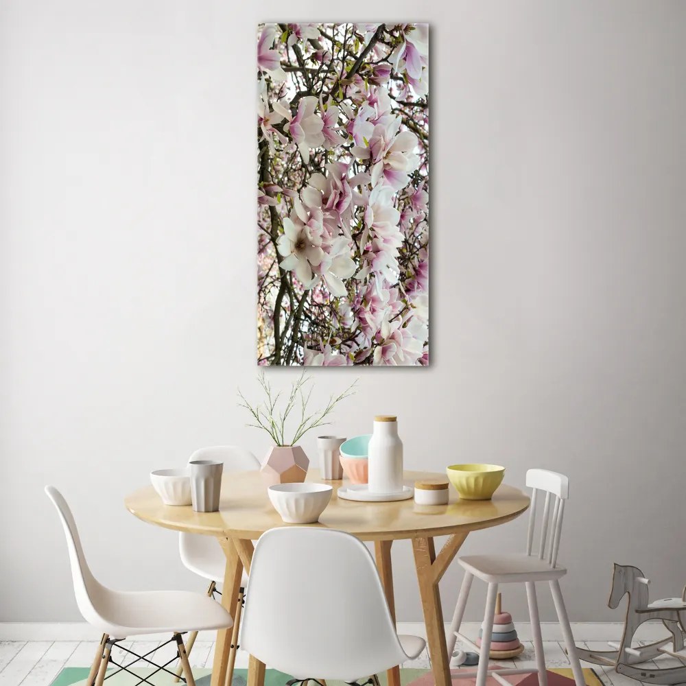 Foto obraz na szkle Kwiaty magnolii