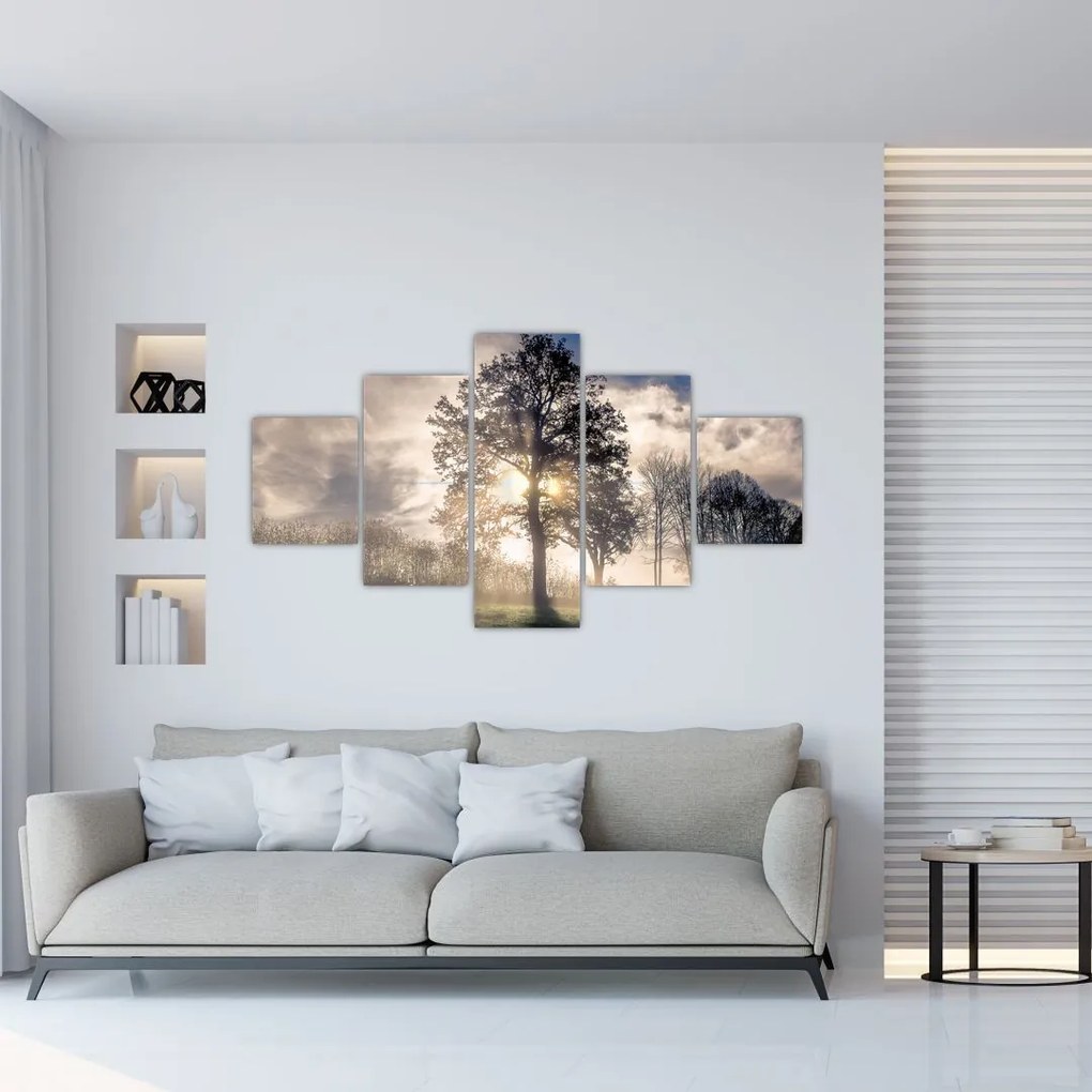 Obraz drzewa we mgle (125x70 cm)