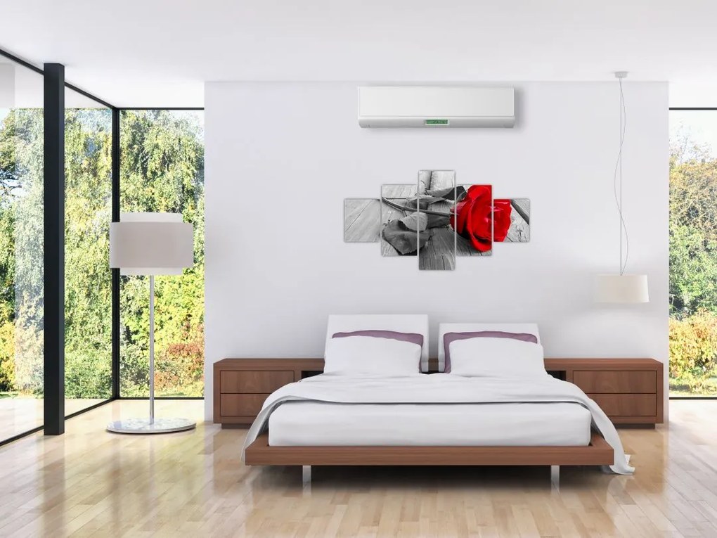Obraz czerwonej róży (125x70 cm)
