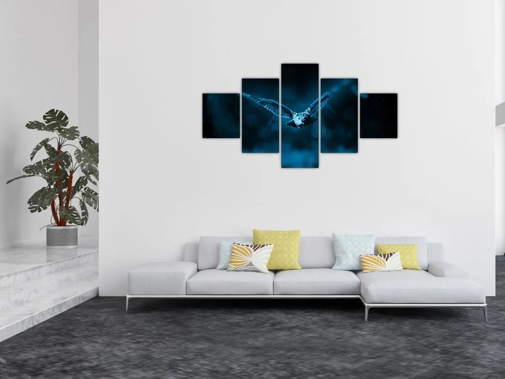 Obraz lecącej sowy (125x70 cm)
