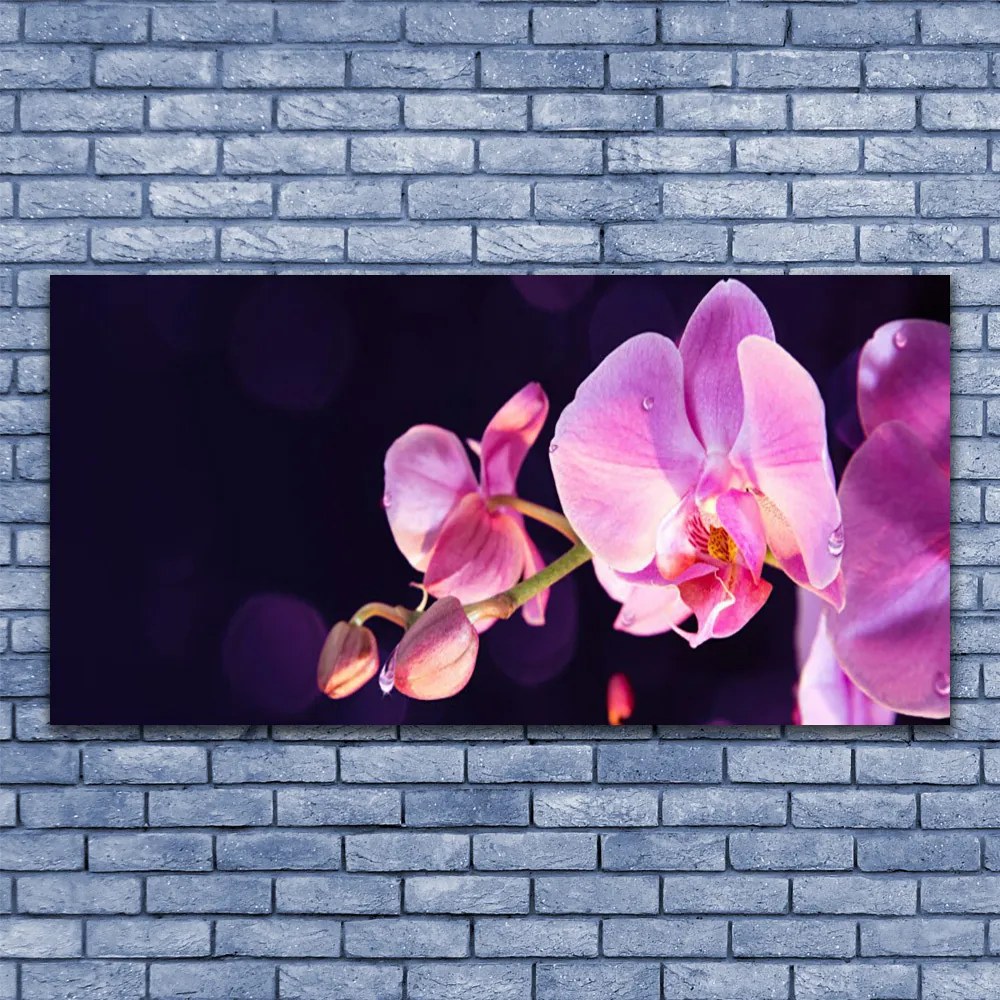 Obraz na płótnie Kompozycja Kwiatów i Liści