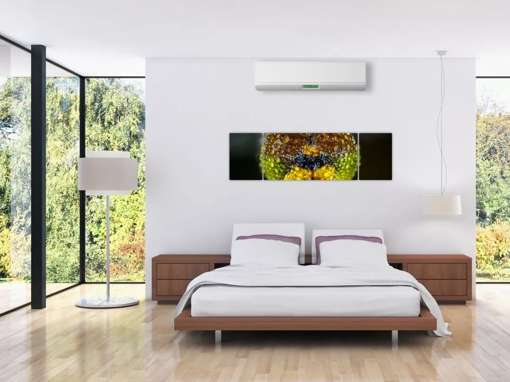 Szczegółowy obraz oczu owadów (170x50 cm)