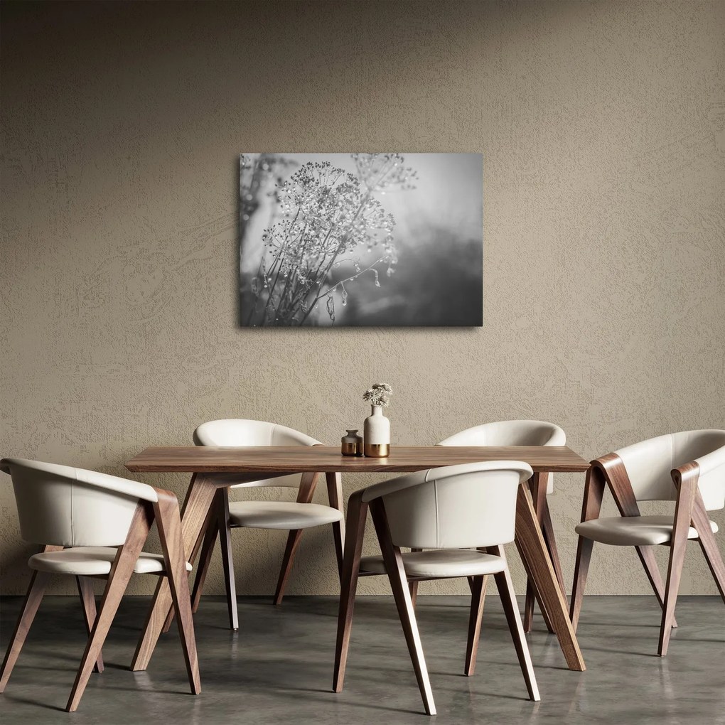 Obraz - Łąka po deszczu (70x50 cm)