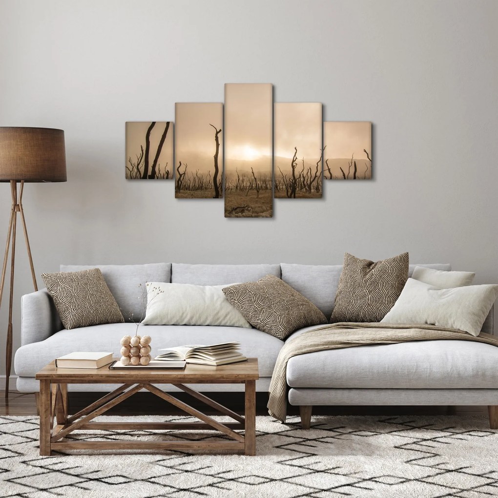 Obraz - Nagie drzewa (125x70 cm)