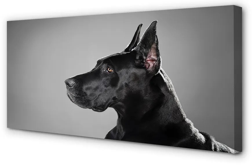 Duży obraz na płótnie Czarny Pies
