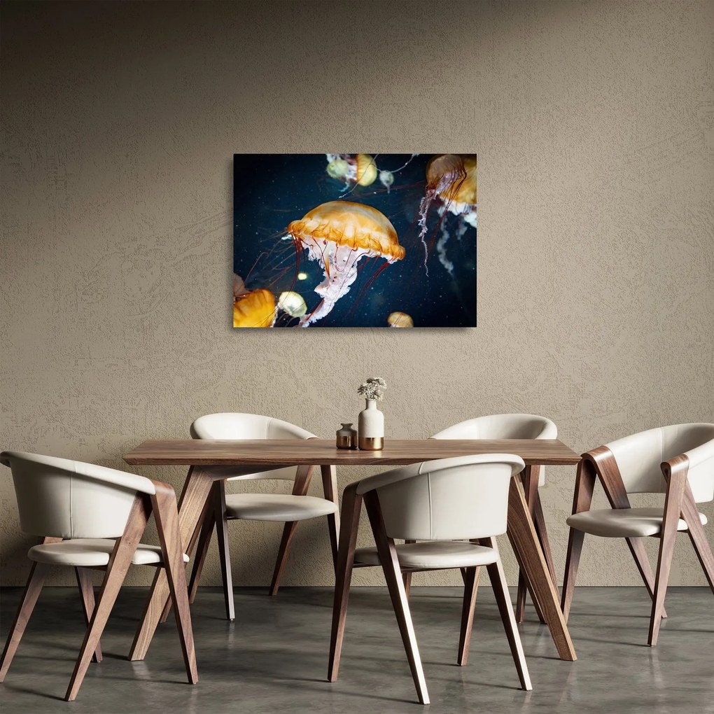 Obraz na szkle meduzy (70x50 cm)