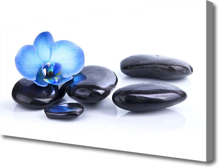 Obraz na płótnie Kwiatowa Harmonia na Kamieniach