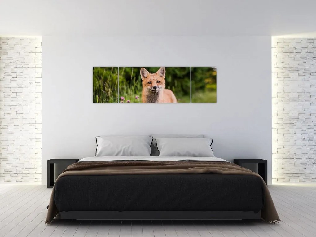 Obraz lisa (170x50 cm)