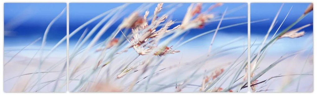 Obraz - Bryza (170x50 cm)
