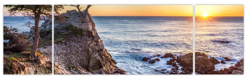 Obraz - Wybrzeże Pacyfiku (170x50 cm)