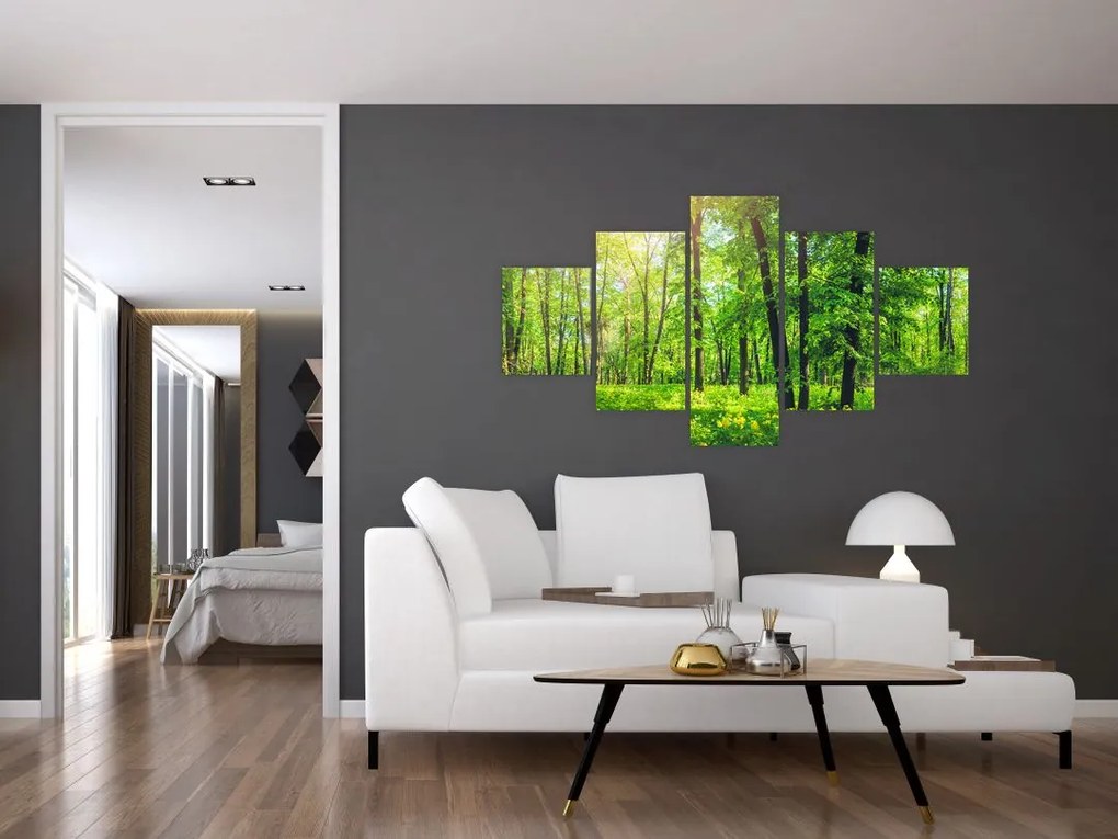 Obraz - Wiosenny las liściasty (125x70 cm)