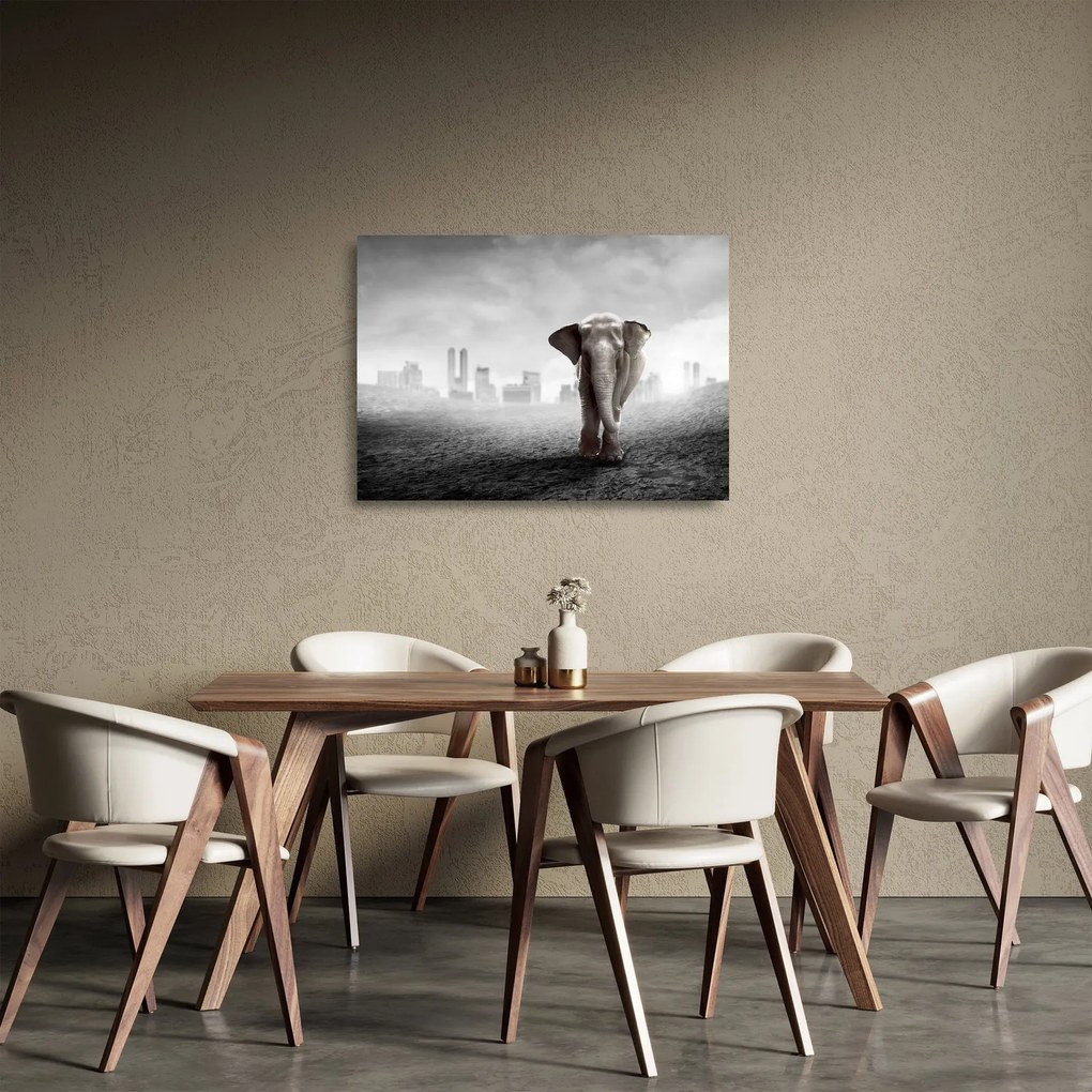 Obraz na szkle - Słonie w wielkim mieście, wersja czarno - biała (70x50 cm)