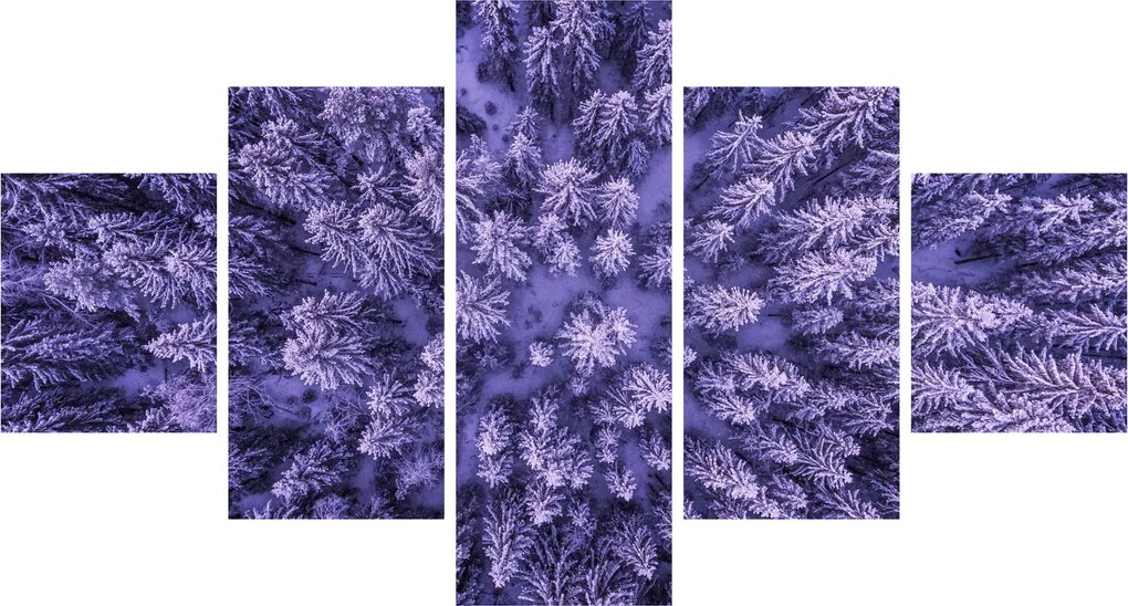 Obraz ośnieżonych drzew (125x70 cm)