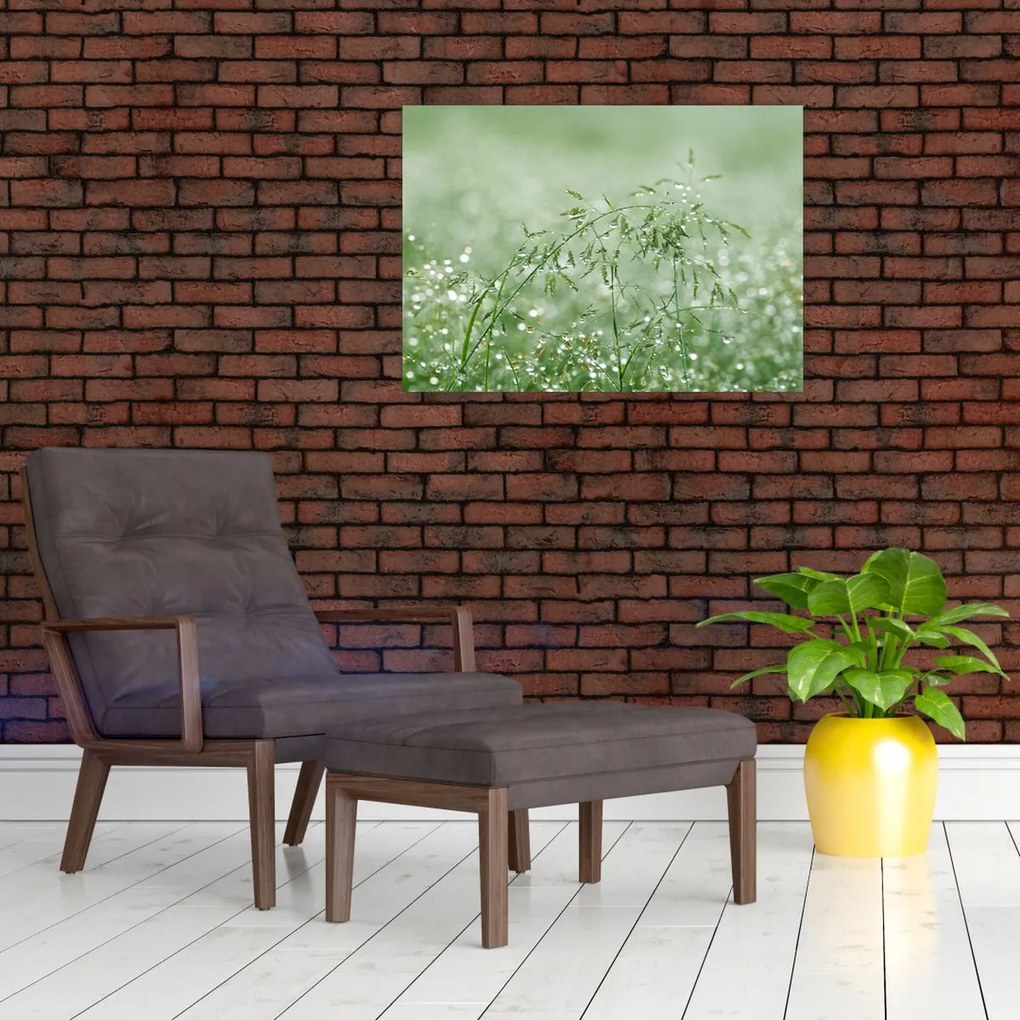 Obraz - Rosa na trawie (70x50 cm)