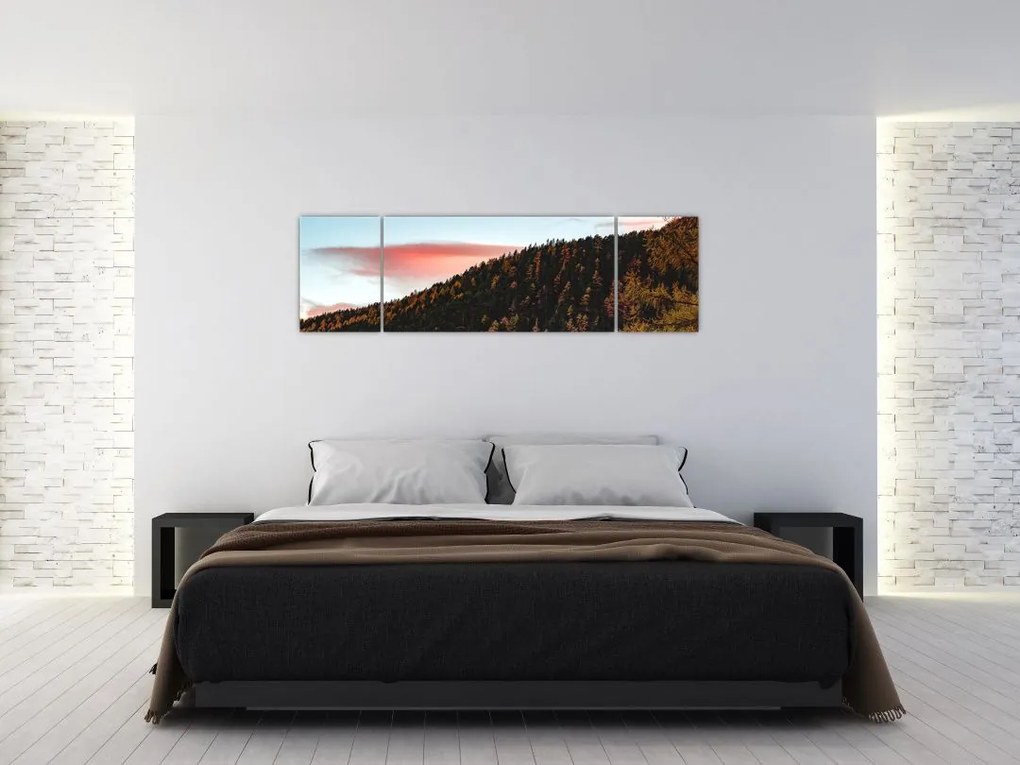Obraz rudzików nad wzgórzem (170x50 cm)