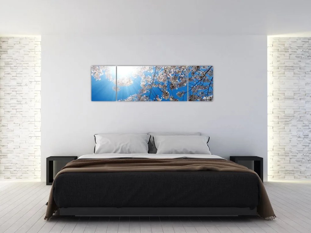 Obraz - Wiśniowe kwiaty (170x50 cm)