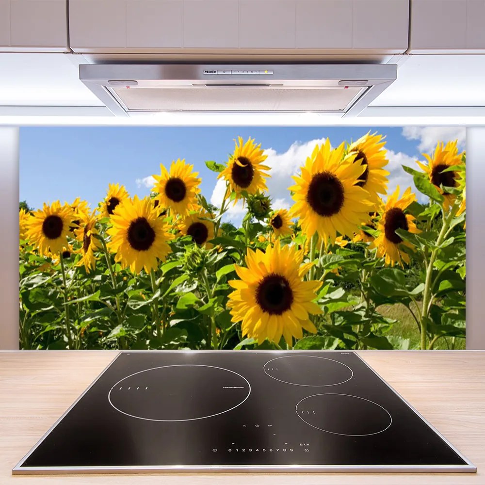 Panel Szklany Złoty Słonecznik w Słońcu