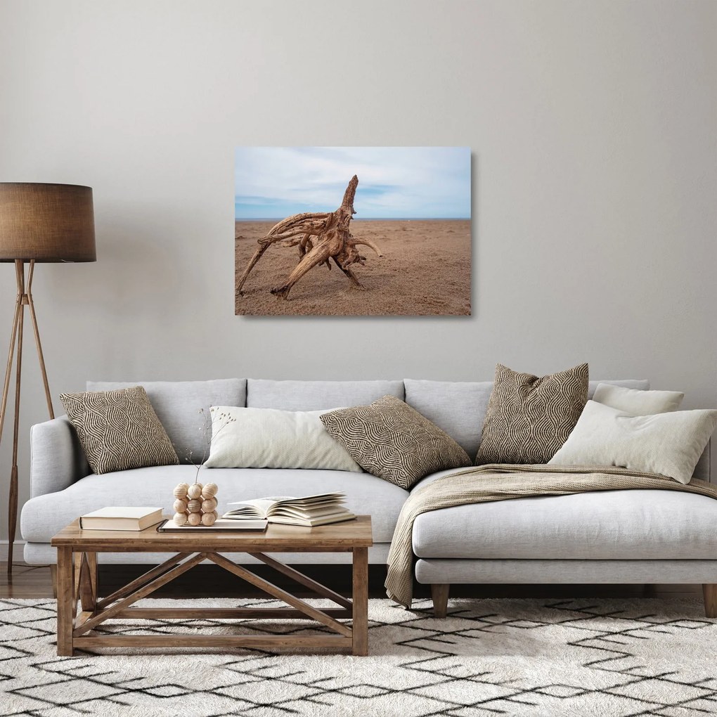Obraz na szkle - Zmyte przez morze (70x50 cm)