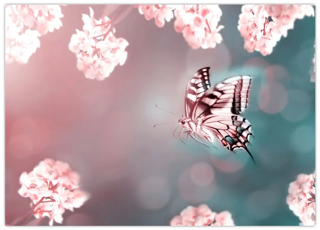 Obraz na szkle - Motyl wśród kwiatów (70x50 cm)
