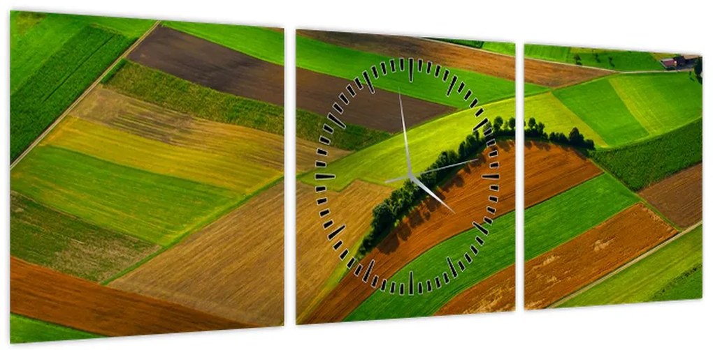 Obraz - Pola, łąki (z zegarem) (90x30 cm)