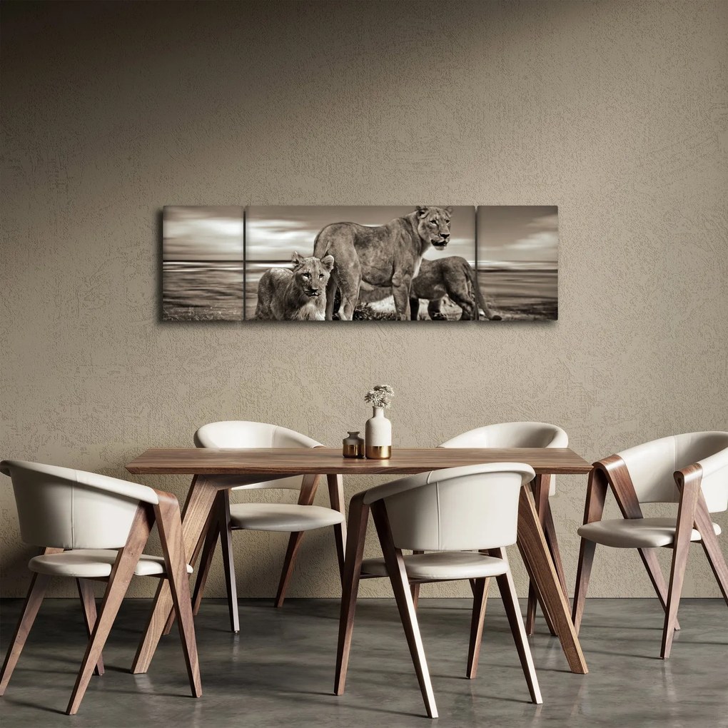 Obraz czarno - białych lwów (170x50 cm)