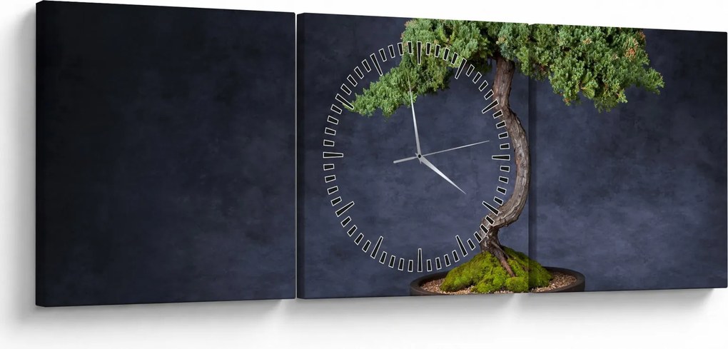 Obraz - Bonsai (z zegarem) (90x30 cm)