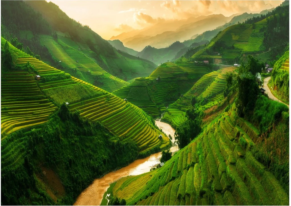 Obraz - Tarasy ryżowe Mu Cang Chai (70x50 cm)