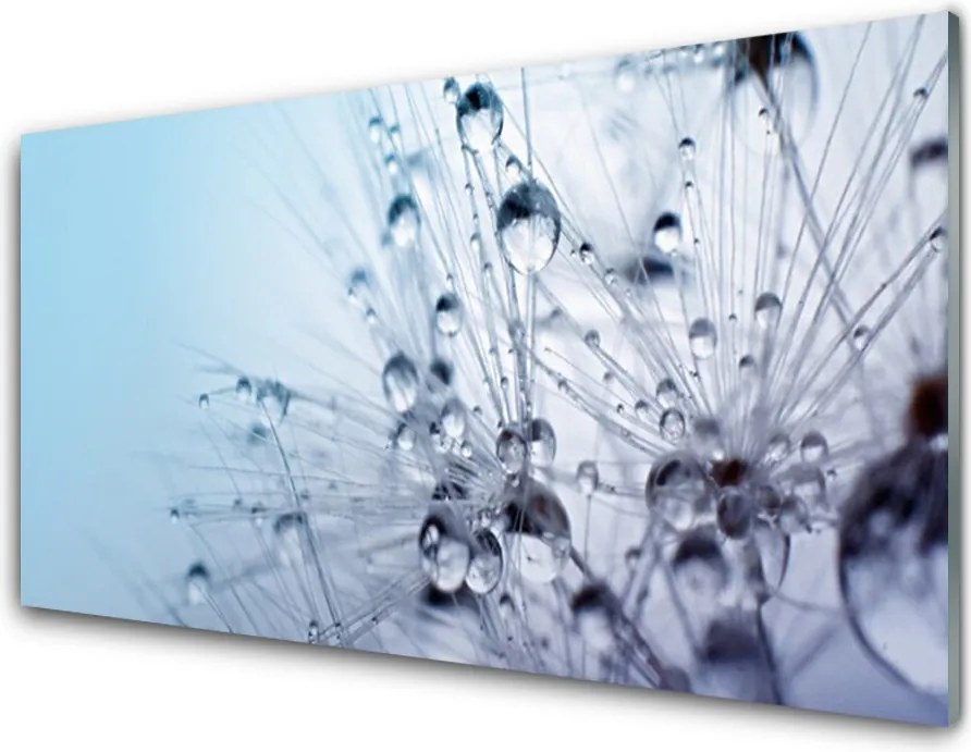 Panel Szklany do Kuchni Puszysta Kula Mniszka