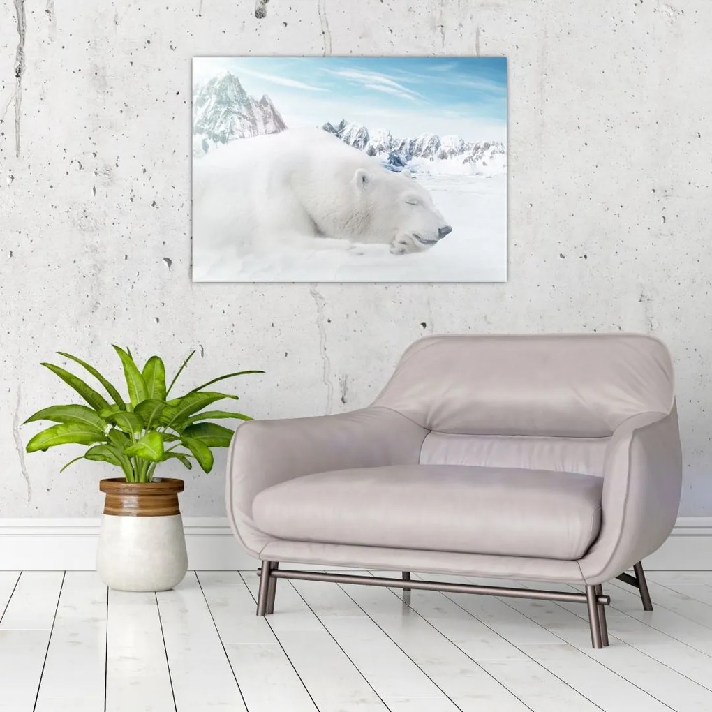 Obraz - Niedźwiedź polarny (70x50 cm)