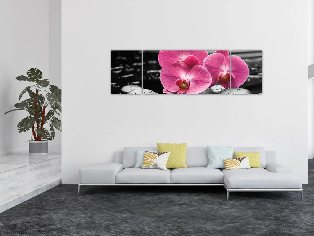 Obraz - Różowe orchidee (170x50 cm)