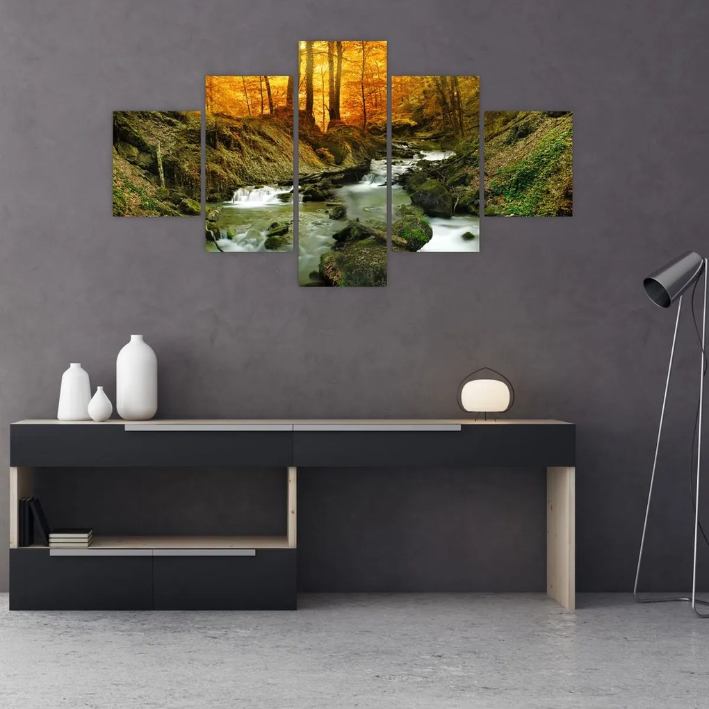 Obraz - Las (125x70 cm)