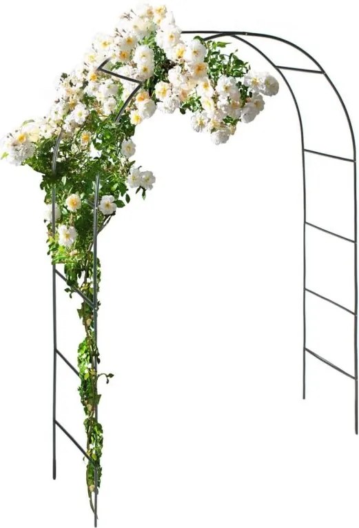 Anaterra Łuk ogrodowy do roślin pnących, 2 szt., 13 mm