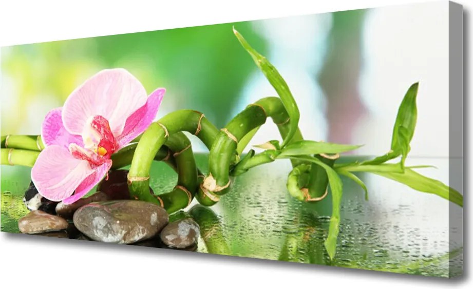 Obraz canvas na ścianę Świeże Pędy Zielonego Bambusa