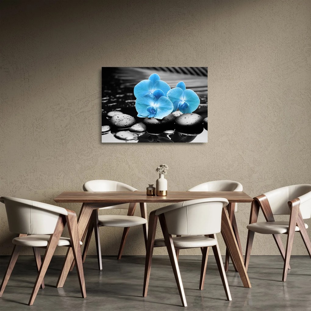 Obraz na szkle - Niebieska Orchidea (70x50 cm)