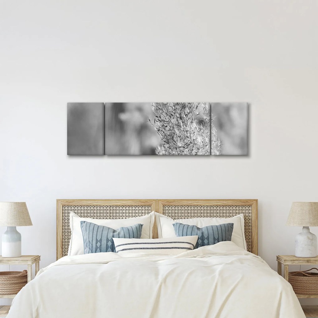 Obraz - Trawa pampasowa Boho (170x50 cm)