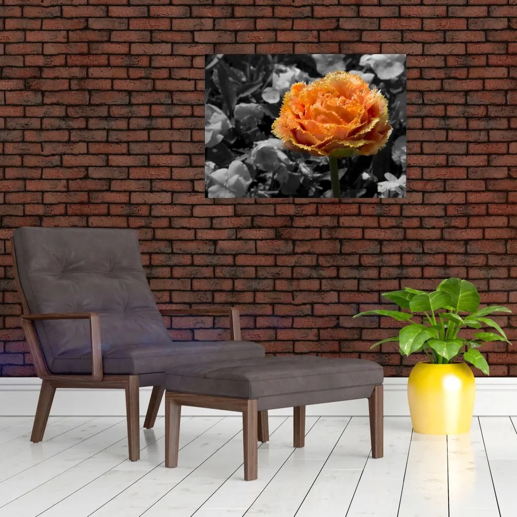 Obraz na szkle kwiatu (70x50 cm)