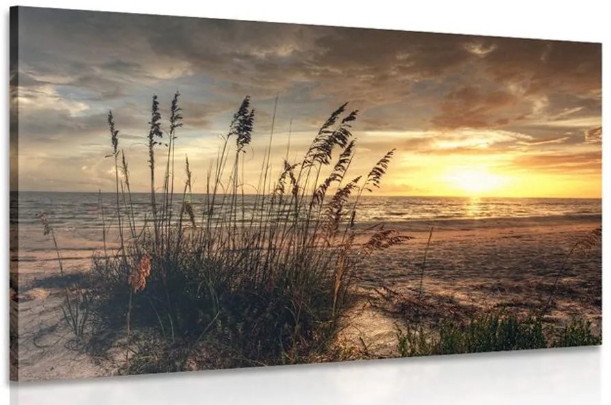 Obraz zachód słońca na plaży