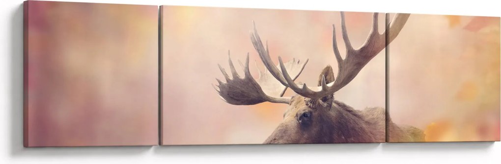 Obraz - Las w jesiennych liściach (170x50 cm)