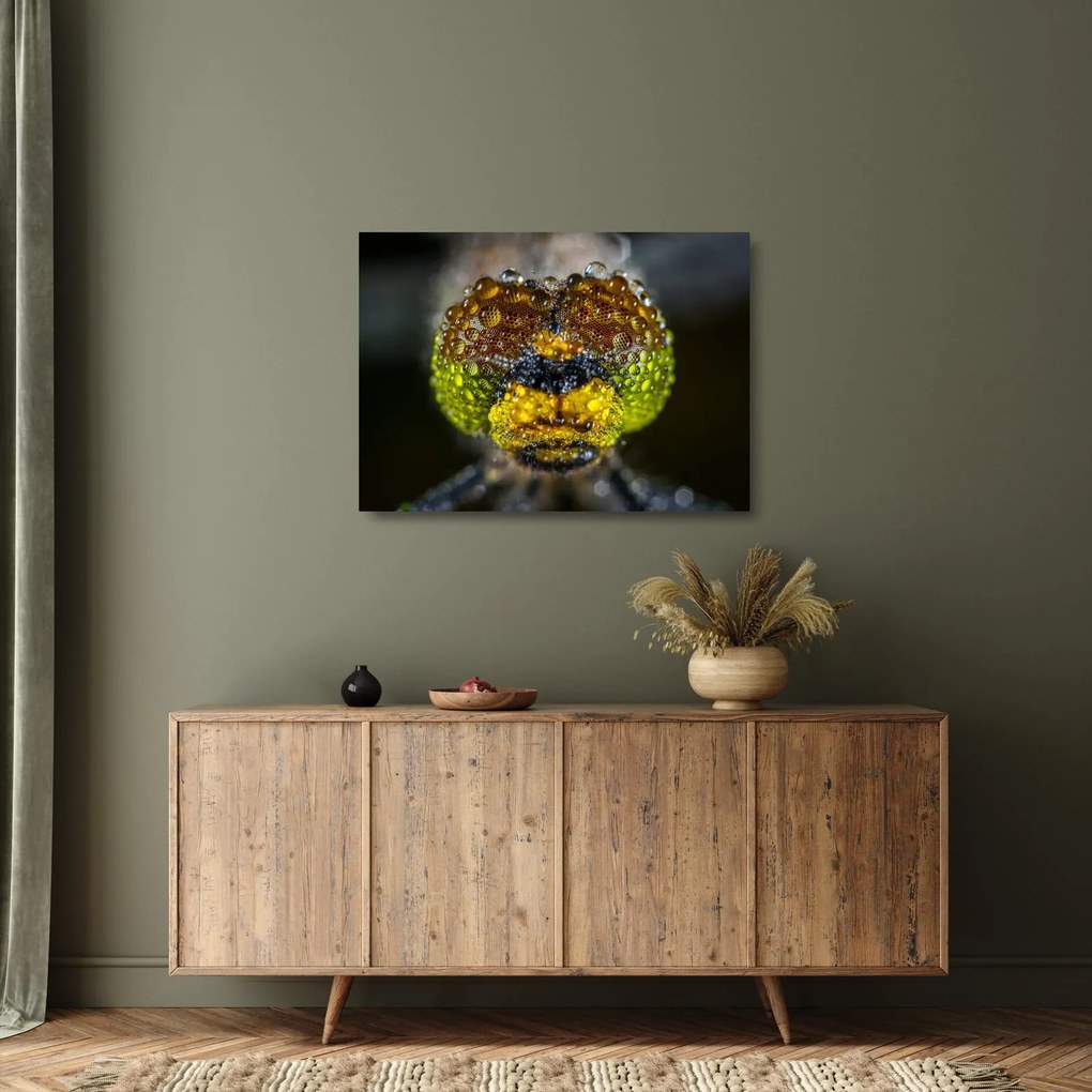 Obraz na szkle - szczegółowy obraz oczu owadów (70x50 cm)