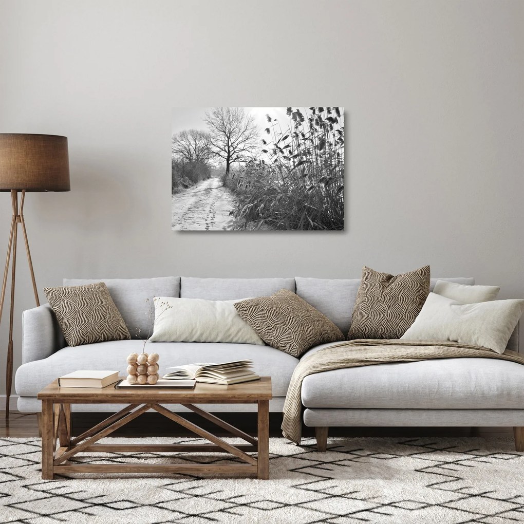 Obraz na szkle - Pola w zimie (70x50 cm)