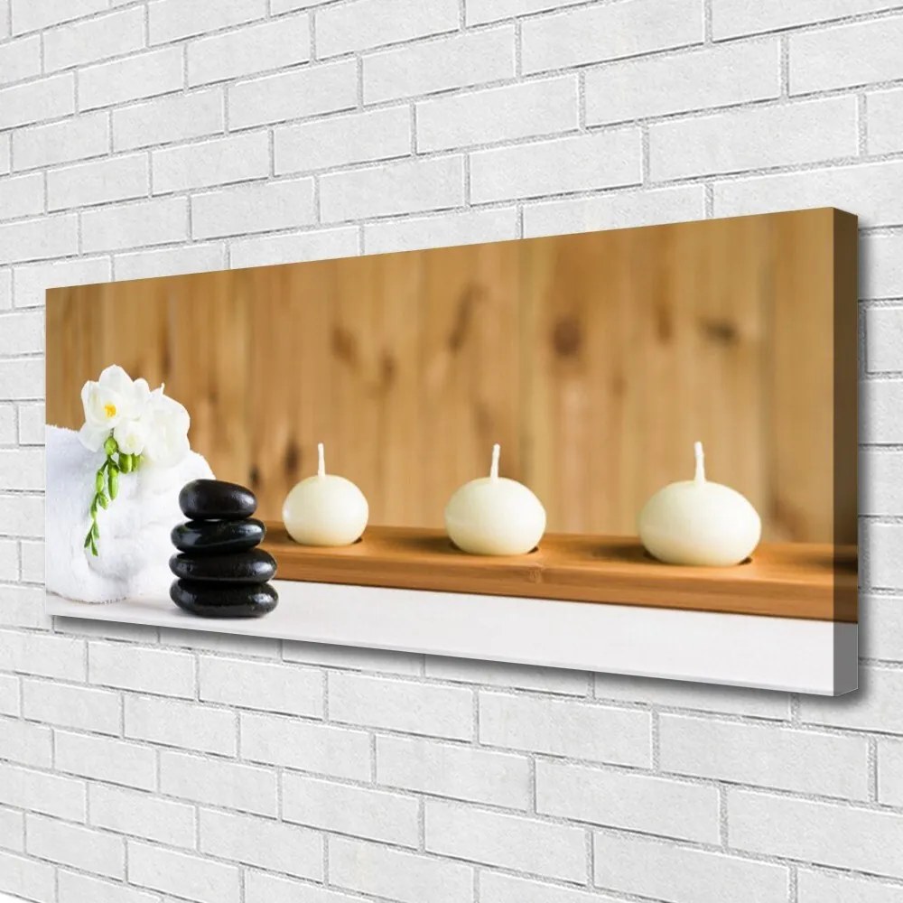 Obraz canvas Rozkwitająca Flora Botaniczna